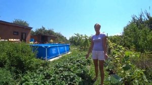 Очередной сбор урожая. Отвечаю про клубнику. Краснодарский край.