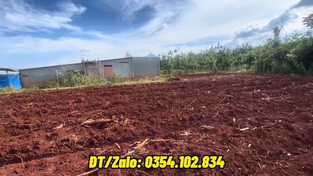 “ Đã bán “ cho anh khách tiền giang sau 1ngày đăng bài. смотреть онлайн