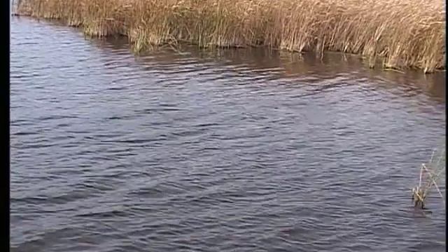Рыбалка с Радзишевским. Японцы в России. www.fishingtvclub.ru смотреть онлайн