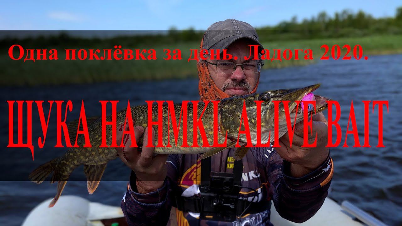 Щука на HMKL Alive Bait
