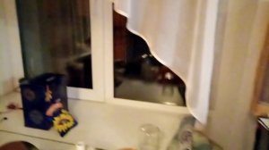 Черничный хутор. Воскресные развлечения. ?.