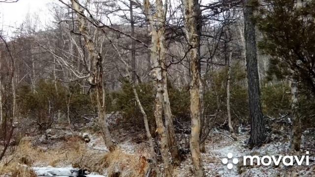 Юрий Визбор в веках и четверть века ПАЛАТКЕ. Видишь, старый дом стоит средь лесов смотреть онлайн