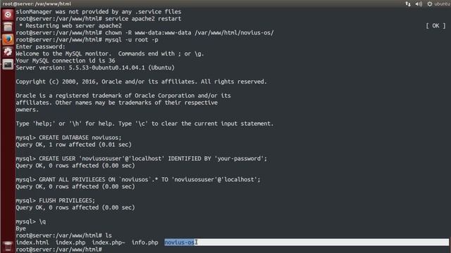 Novius OS installation on ubuntu Linux смотреть онлайн