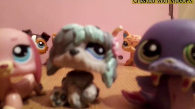 LPS:Popular Mv