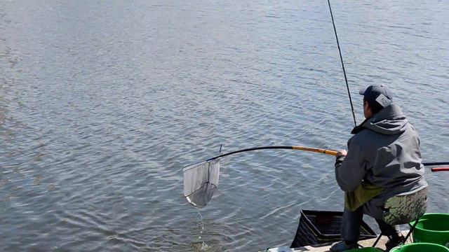 Кубок Екатеринбурга 07-08 июня 2014 (Фомин Андрей) смотреть онлайн