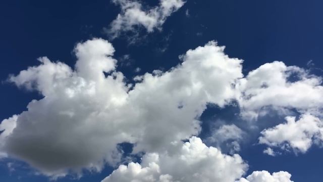 Пропалывая огород с внуком, бабуля махала пилоту вертолета, а едва богач скинул им странный сверток смотреть онлайн