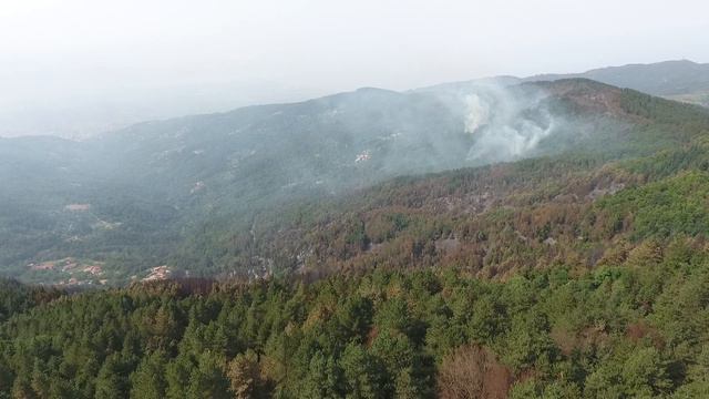 REVENTINO смотреть онлайн