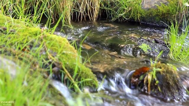 ШУМ ВОДОПАДА. 2 часа смотреть онлайн
