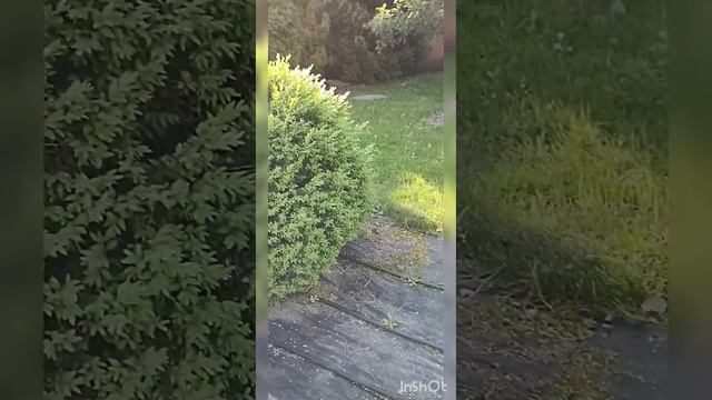 А у вас тоже есть заказчики, которые с утра до вечера ждут именно вас? смотреть онлайн