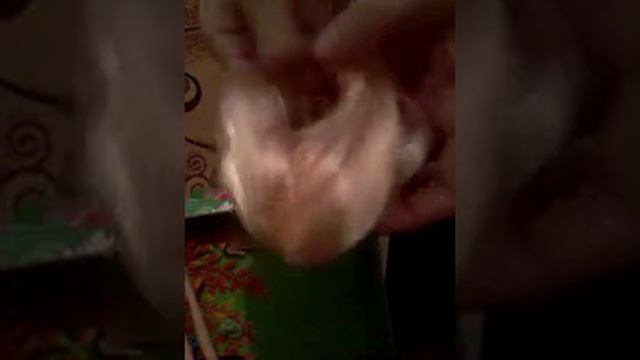 Прически кукол смотреть онлайн