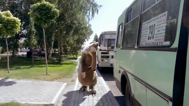 Куда же все таки бежит белка? смотреть онлайн