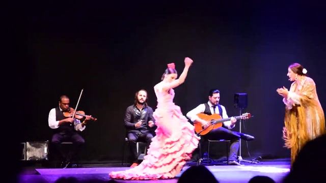 Live Ópera y Flamenco "A Love Story" Barcelona Nov. 2018 -- Filmed by Hammouda Salhi смотреть онлайн
