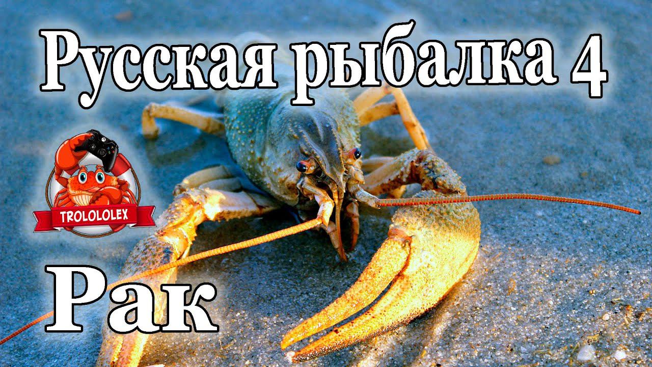Русская рыбалка 4 Рак речной Голд наживка смотреть онлайн