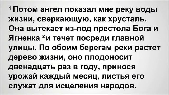 Собрание церкви "Божий Дом" 05.11.2023 г. смотреть онлайн