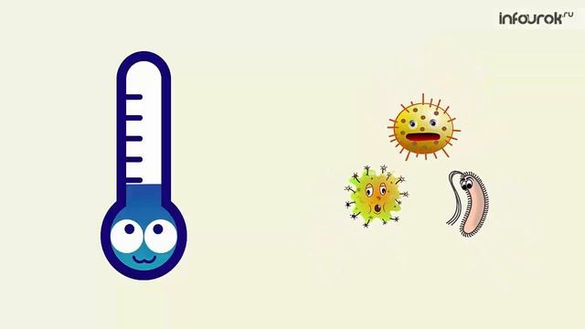 Бактерии, их роль в жизни живой природы и человека | Окружающий мир 2 класс #48 | Инфоурок смотреть онлайн