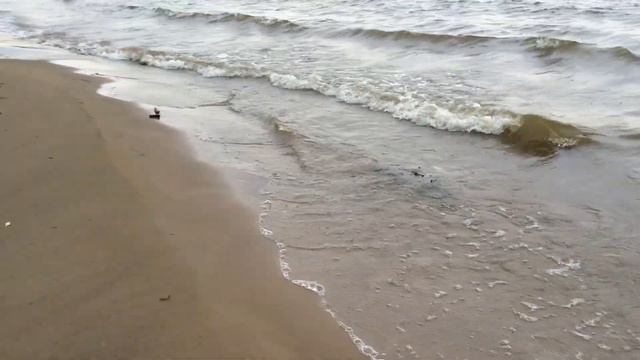 Пляж на Волге. Самара. Сентябрь | Volga beach of Samara in September смотреть онлайн