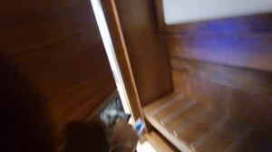 Дубай из Сочи март 2024г приключения начинаются Стелла де Маре - Stella de Mare