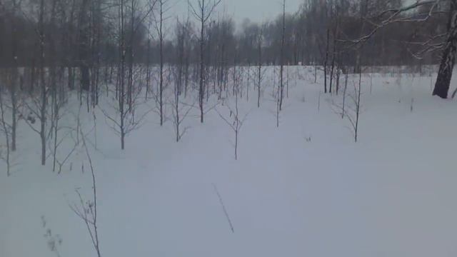 петли на зайца.ищем потерянную петлю смотреть онлайн