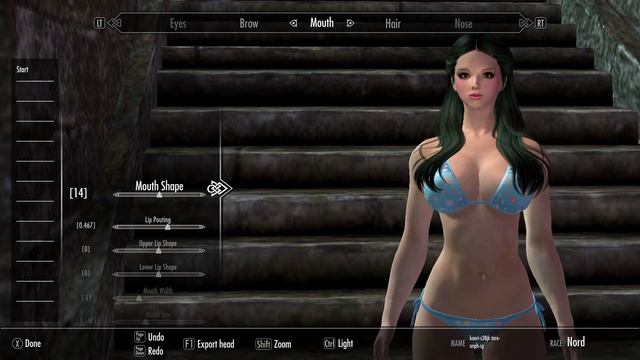 Skyrim LE キャラメイクNo Kaojk-s38　ECEデータ公開-2022-1-10