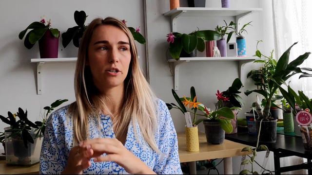 Q&A About Me And How I Grow My Orchids