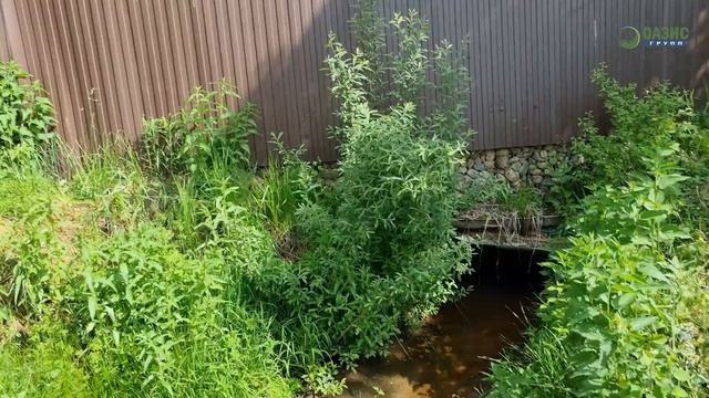 Ландшафтный дизайн участка своими руками с нуля. Планировка участка. смотреть онлайн