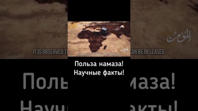 О пользе Намаза!Научные факты! смотреть онлайн