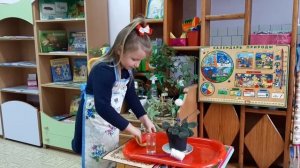 Уголок природы в старшей группе
