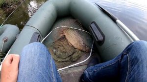 САЗАНЫ ВЫТАСКИВАЮТ С ЛОДКИ! ловля дикого сазана. рыбалка на удочку с боковым кивком, сазан, карп.