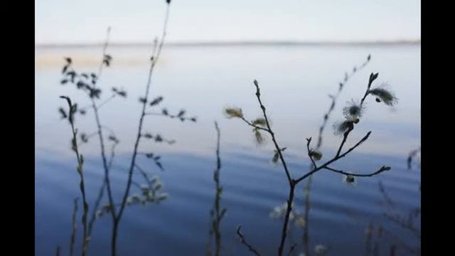 Бамбуковая флейта , гитара и бас | BAmbooWay смотреть онлайн