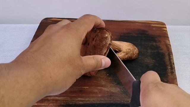 005 Hongo pancita Hongo panza, Hongo Cepa, Hongo Chana hongos silvestres mexicanos смотреть онлайн