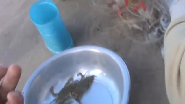Вьетнамские рыбаки и рыбки смотреть онлайн