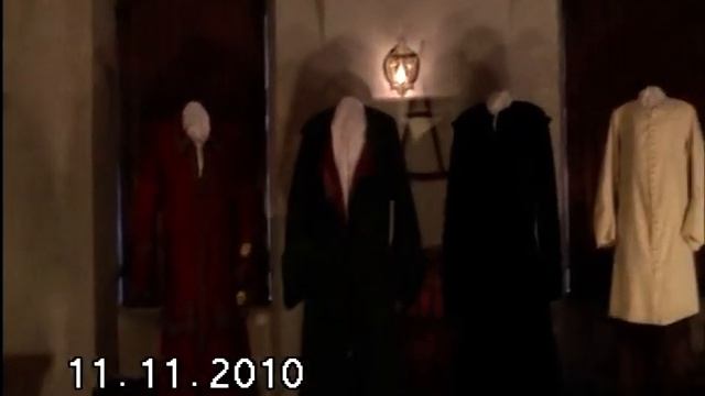Дворец Александра Меншикова. 11.11.2010