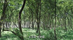 Легенда о Фу Яо 1 сезон 19 серия