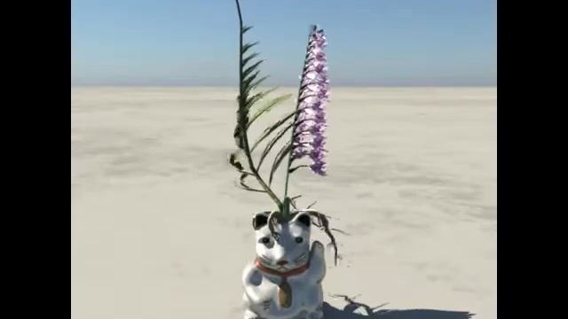 Lucky Cat Orchid Planter Lifecycle Growth timelapse смотреть онлайн