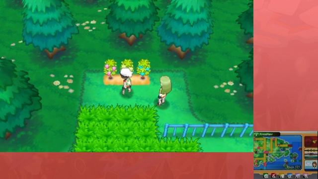 Pokemon Omega Ruby - Part 14 - Safari Zone (Gameplay Walkthrough) смотреть онлайн