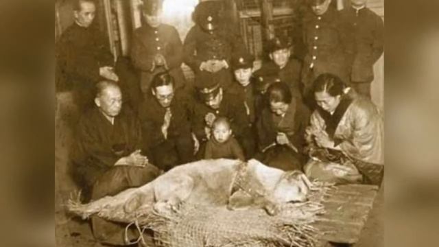 История Хатико смотреть онлайн