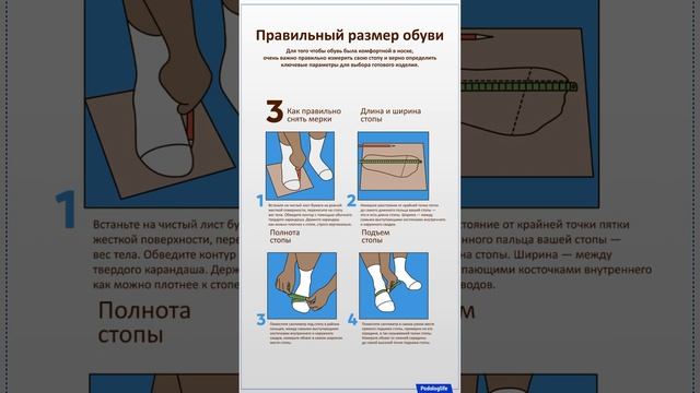 Плакат «Размер обуви» для кабинета специалиста смотреть онлайн