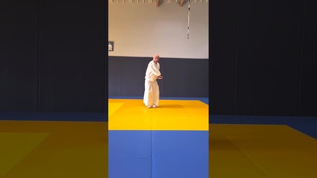 Shintaido Kenjutsu Chudan Kiri-komi, vue de face смотреть онлайн