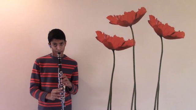 Sugar On Clarinet (Clarinet Cover)