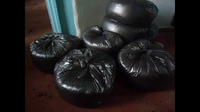 Фасовка и реализация биогумуса/Разведение червя дендробена смотреть онлайн