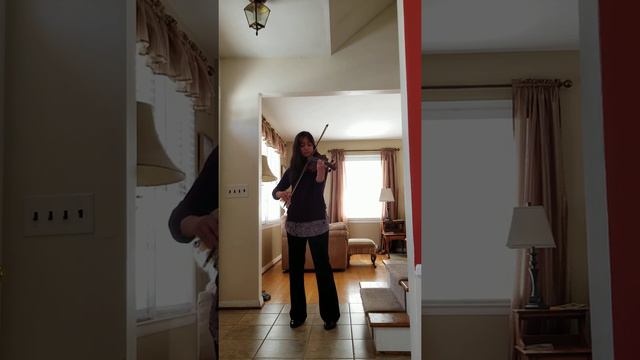 Partita #3 in E-major. Johann Sebastian Bach. Movement 2-Loure. смотреть онлайн