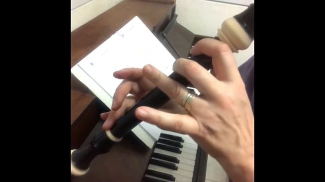 Flûte Alto_Alto recorder _Altblockflöte : compilation 1 pour débuter_ Bienvenue chez les Mulets смотреть онлайн