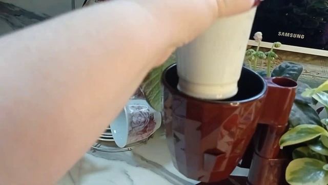 13 февраля 2023 г.Покупка семян на рассаду, красивый цветочный горшок, обрезаю цветы на укоренения. смотреть онлайн