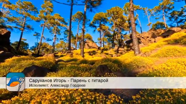 Саруханов Игорь - Парень с гитарой (Александр Гордеев) смотреть онлайн