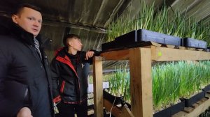 🌱Ситиферма лука. Выращивание лука в теплице зимой. 🔥Эксклюзив с цифрами