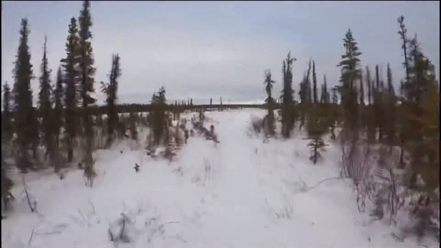 OPEN ROAM WORLD PART 1 SKANDIC WT 600ACE смотреть онлайн