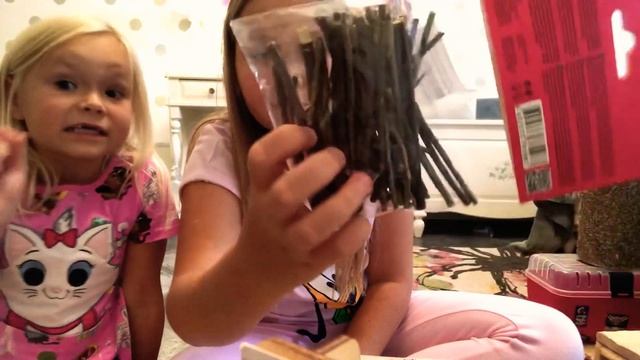 Что нужно купить для появления шиншилл? смотреть онлайн