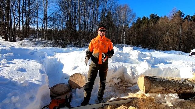 Бензопила STIHL MS 881 - гигант среди бензопил. Как такой работать - покажу и расскажу! смотреть онлайн