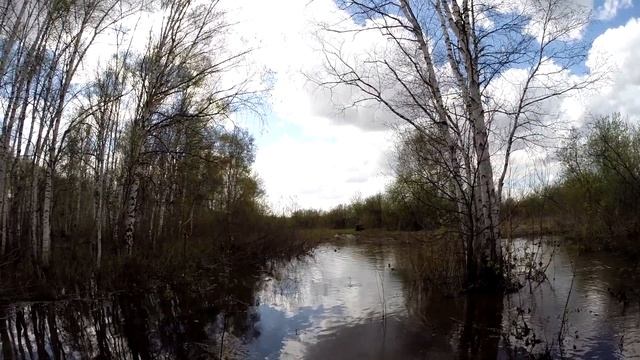 Сад 54 Илья-проверка шноркелей смотреть онлайн