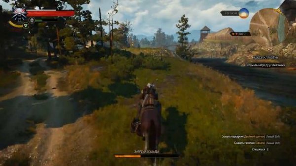 Охота на куролиска - Witcher 3 (16)